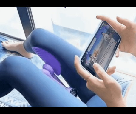 EJERCITADOR PÉLVICO